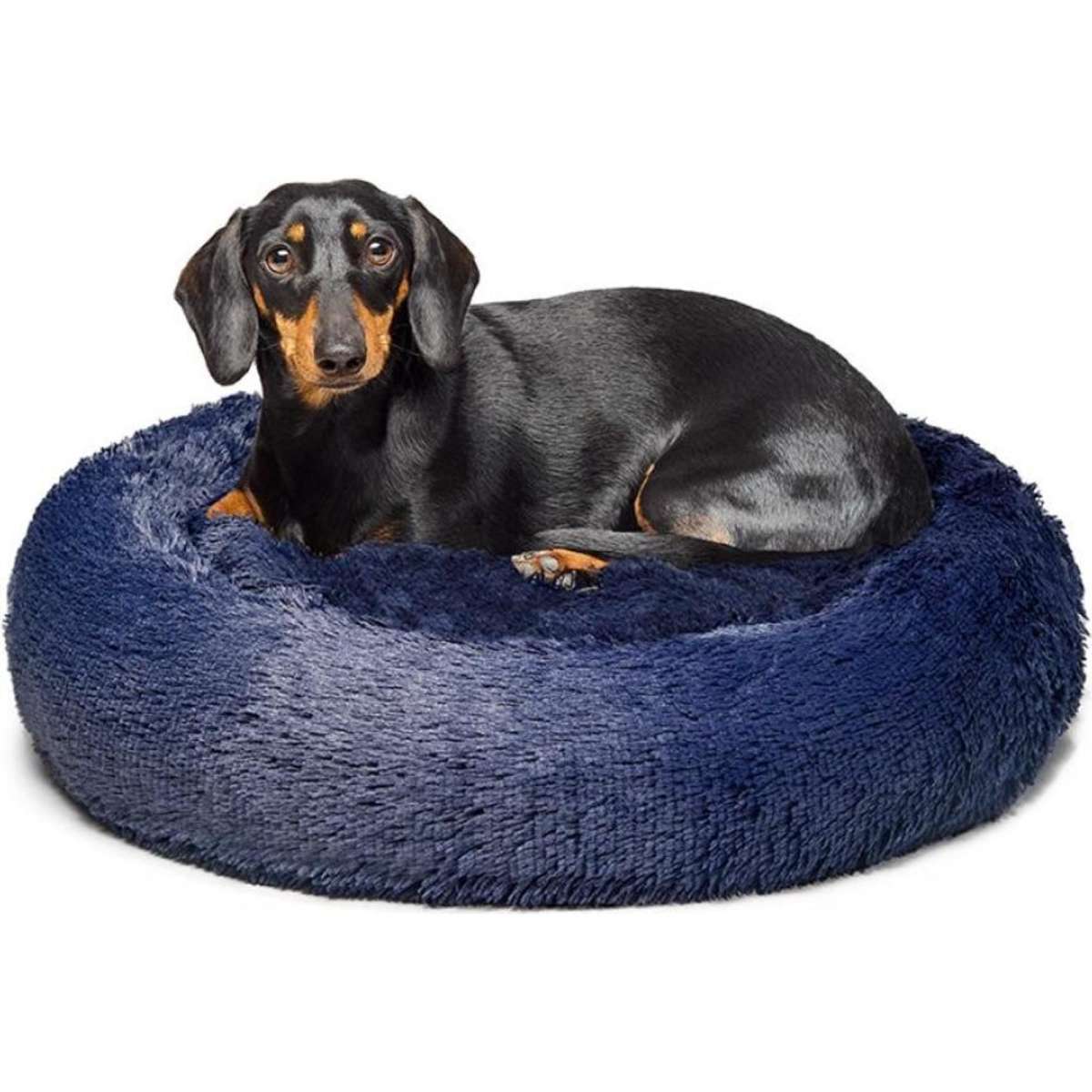 Australian made dog outlet beds