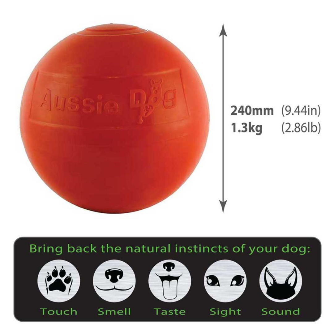 Aussie Dog Staffie Ball