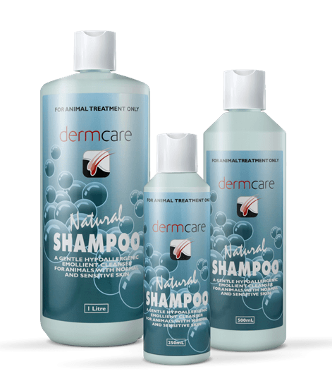 Dermcare - Natural Shampoo - 250ml