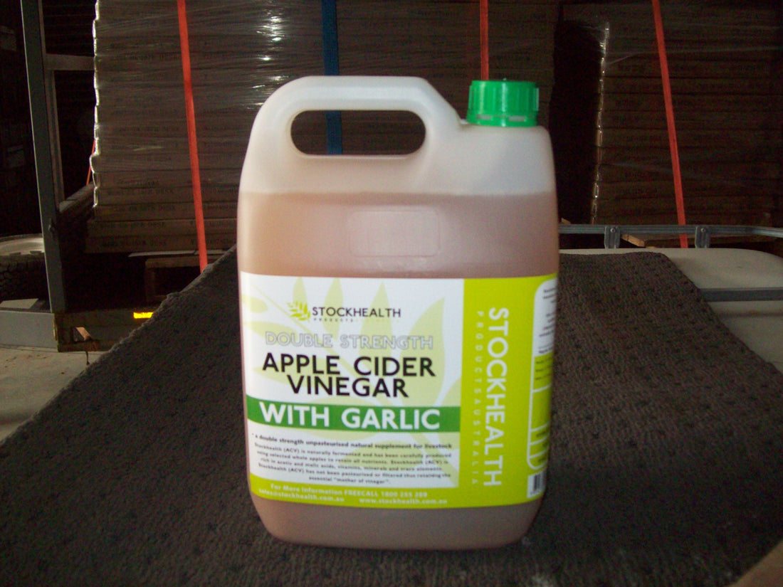 Stockhealth Apple Cider Vinegar + Garlic 5L