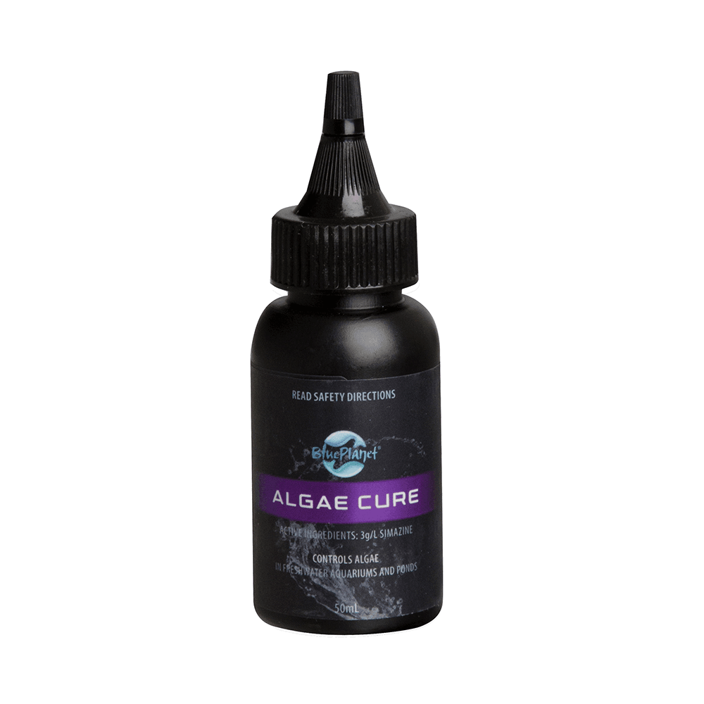 Blue Planet - Algae Cure - 50ml